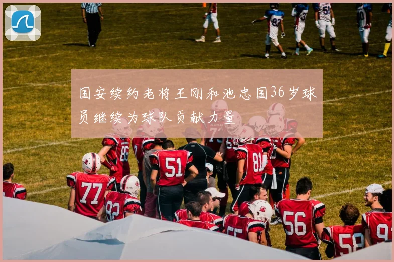 国安续约老将王刚和池忠国36岁球员继续为球队贡献力量